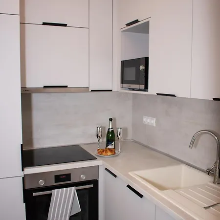 Apartment Luxury Cozy 2 Bdr Downtown Apt.2 *