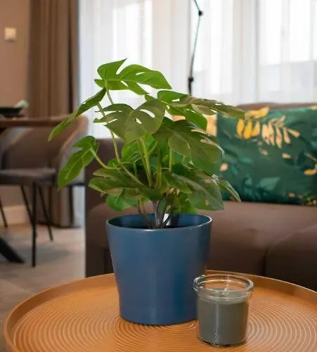 Apartmán Luxury Cozy 2 Bdr Downtown Apt.2
