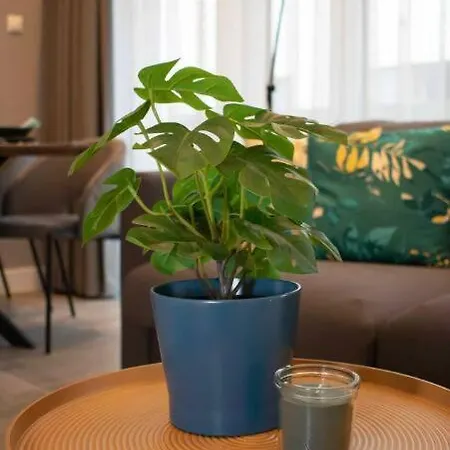 Apartmán Luxury Cozy 2 Bdr Downtown Apt.2