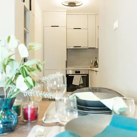 Luxury Cozy 2 Bdr Downtown Apt.2 *