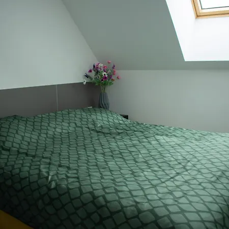 Luxury Cozy 2 Bdr Downtown Apt.2 *