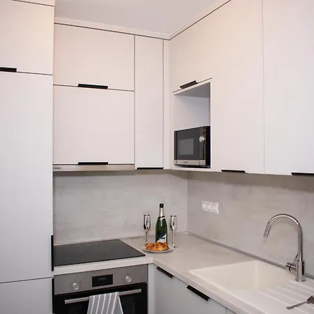 Apartmán Luxury Cozy 2 Bdr Downtown Apt.2 *