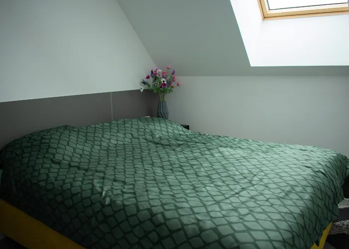 Luxury Cozy 2 Bdr Downtown Apt.2 *