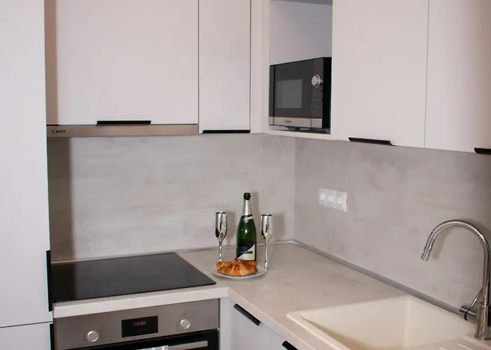 Apartament Luxury Cozy 2 Bdr Downtown Apt.2 *